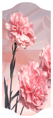 DARAY-C-022 Pink Carnation
